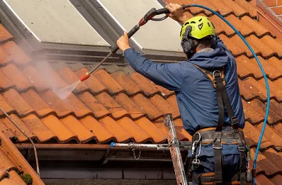 Démoussage et hydrofuge de toiture à Tréprel
